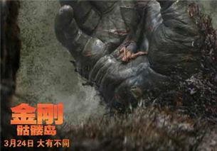 金刚骷髅岛在线观看完整版,惊险探险，探寻神秘岛屿的奇幻之旅  第1张